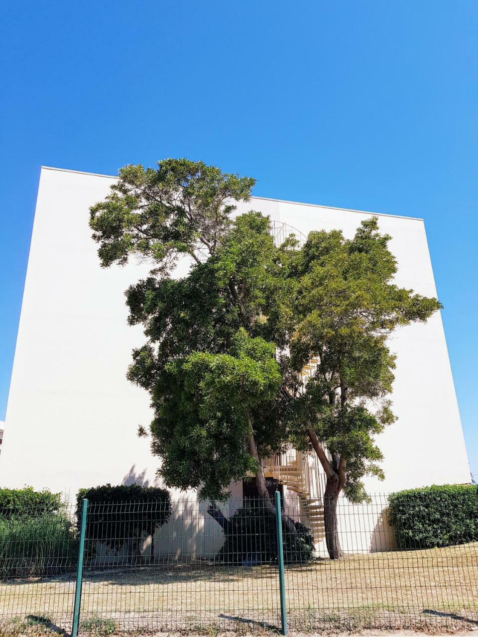 Studio Calme Avec Parking Et Ascenseur -304- Canet-en-Roussillon Esterno foto