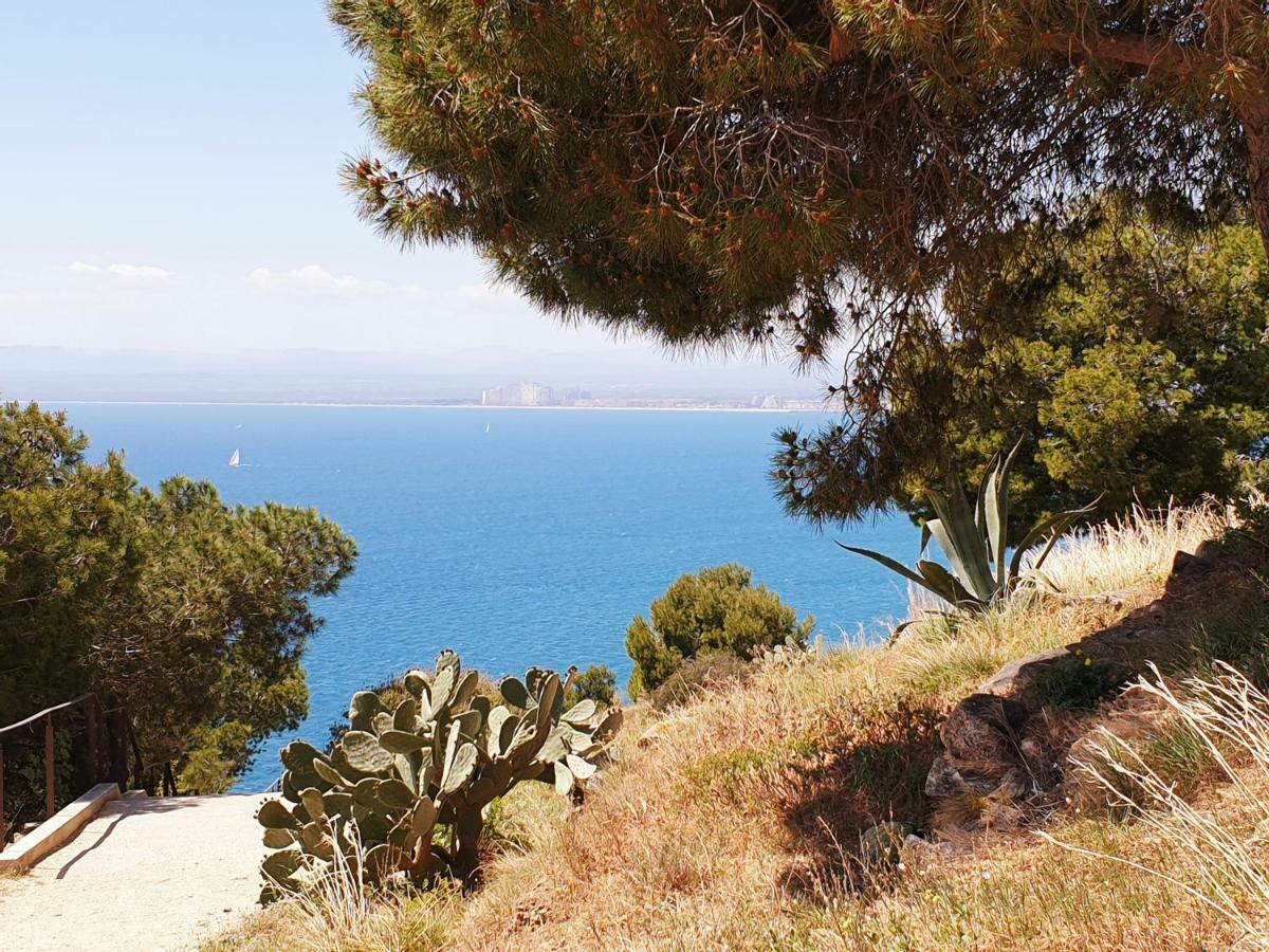 Studio Calme Avec Parking Et Ascenseur -304- Canet-en-Roussillon Esterno foto